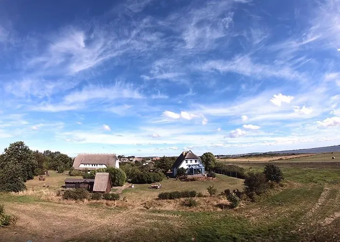 公寓 Suederhaus Hiddensee App 3 诺因多夫